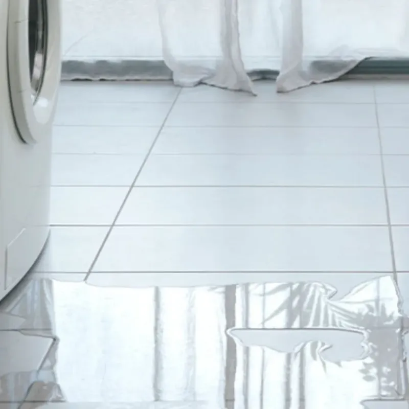 Appliance Leak Cleanup in Clermont, IN