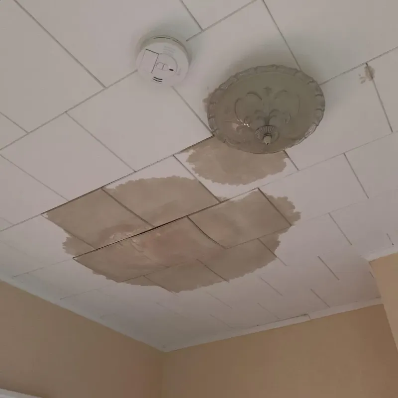 Ceiling Water Damage Repair in Clermont, IN