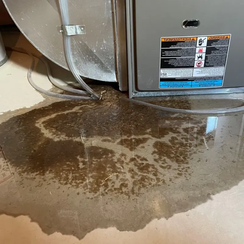 Pipe Burst and Leak Restoration in Clermont, IN