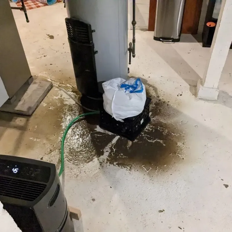 Sewage Backup Cleanup Service in Clermont, IN
